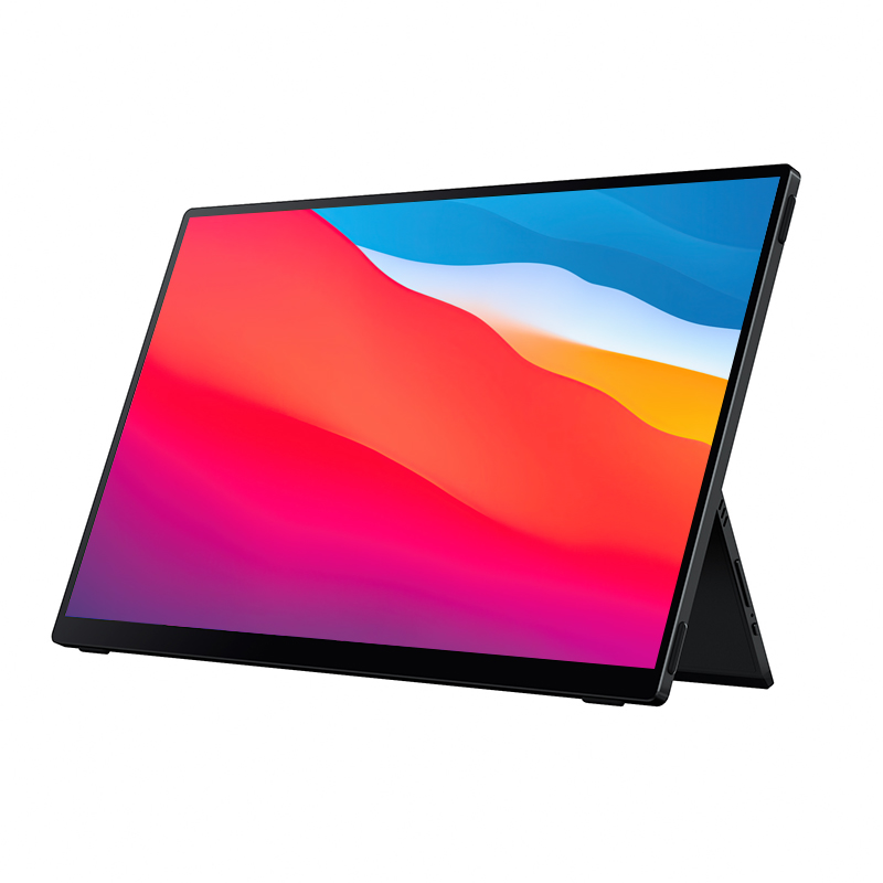 Portable Monitor with Built-in Battery